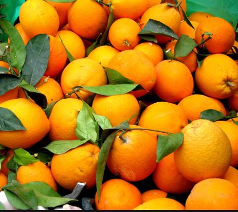 oranges
